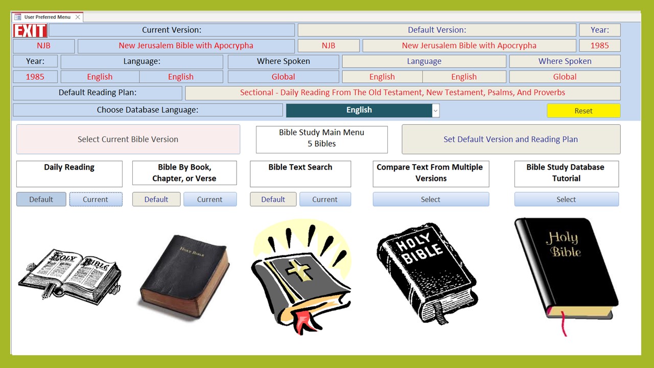 MS Access Bible Study Database